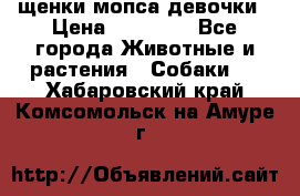щенки мопса девочки › Цена ­ 25 000 - Все города Животные и растения » Собаки   . Хабаровский край,Комсомольск-на-Амуре г.